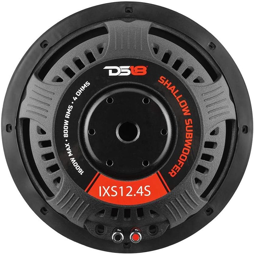 2x DS18 IXS12.4S 12